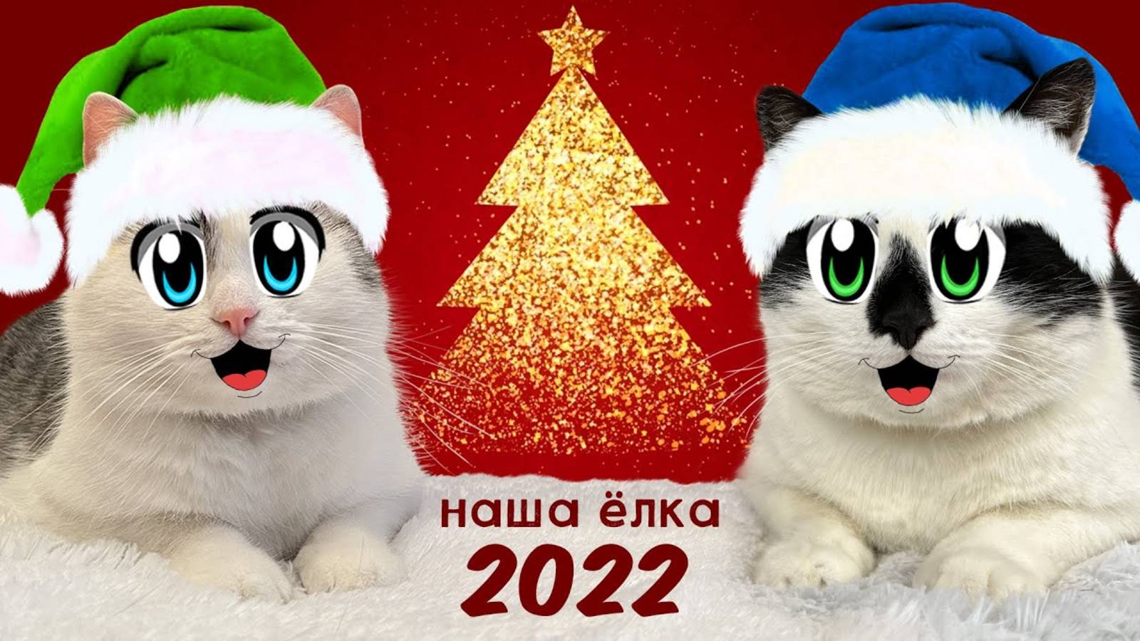 24 ЧАСА УКРАШАЕМ ЁЛКУ на НОВЫЙ ГОД! КТО ЛУЧШЕ УКРАСИТ КОТ МАЛЫШ или МУРКА! ЧЕЛЛЕНДЖ А ну-ка давай-ка