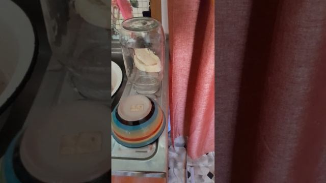 Мои щи из свежей капустки!!