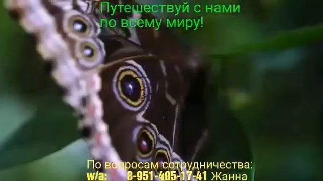 ПУТЕШЕСТВИЯ С GREENWAY. ХОЧЕШЬ ТАКЖЕ?  WA: 8-951-405-17-41greenway_путешествияgreenwayomskomsk