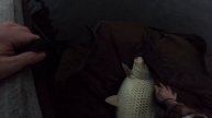 Открытие сезона по карпу. Голодяевский пруд.
