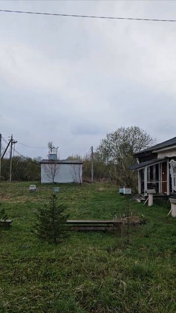 Старинный деревянный дом в глубинке России