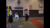 17 Aikido Yokomen Uchi Iriminage, Shishiya Sensei 2003