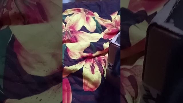 мы играем с кусачом