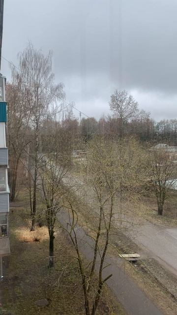 The weather outside the window in our village: шумят машины