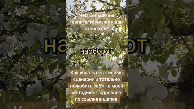 Чем больше вы терпите в отношениях, тем хуже партнёр будет относиться к вам