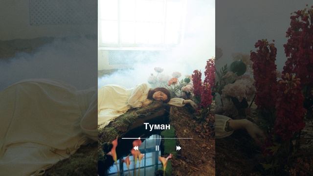 ТРИД music band - Странник (превью)