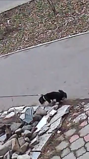 Zaсранцы Комсомольска на Амуре