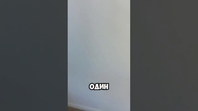 Приёмка квартиры в ЖК Новое Внуково. #приемкаквартир #строительнаяэкспертиза