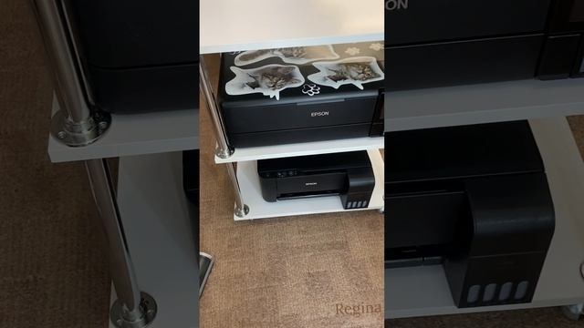КАК УДОБНО РАССТАВИТЬ НЕСКОЛЬКО ПРИНТЕРОВ🐾