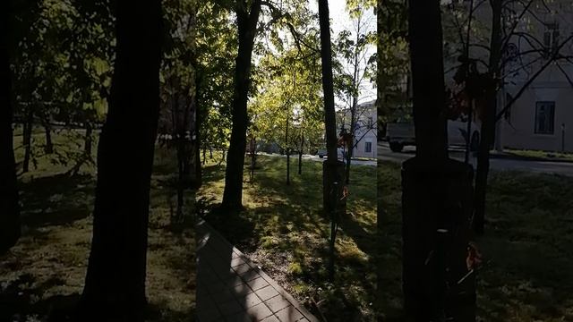 Утро в аллее, Ставрополь.
