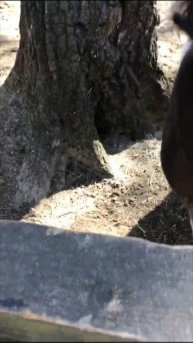 Приятного аппетита!