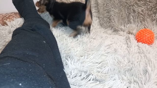 1000020171.mp4