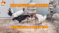 Кормушки и поилки для кур своими руками (164) 🪚✂️ Пошаговая инструкция как сделать 🐔 🐓❣️