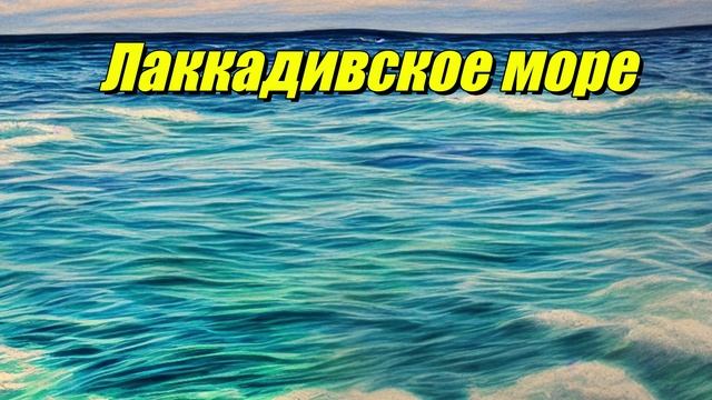 Лаккадивское море
