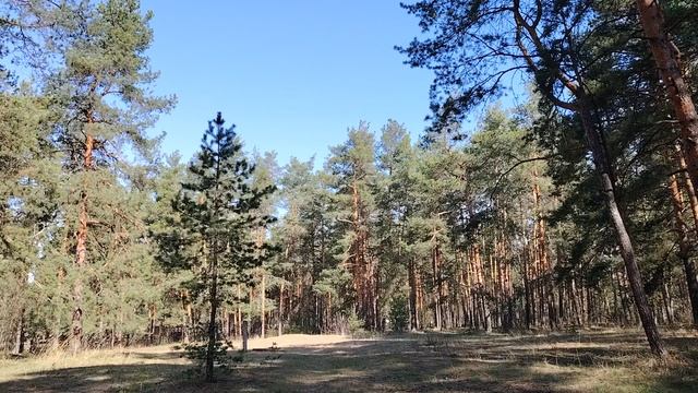Почему не стоит ехать в Москву на заработки?