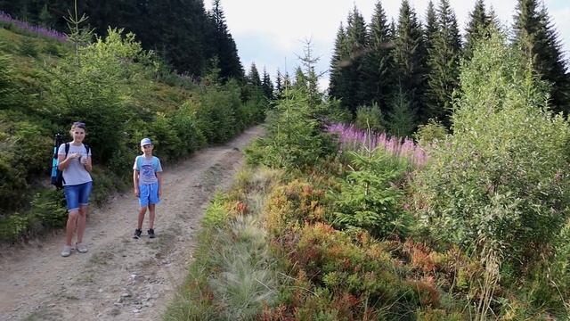 Угорські скелі. Карпати. Похід через хребет Кринта - Скупова. Зелене - Красник