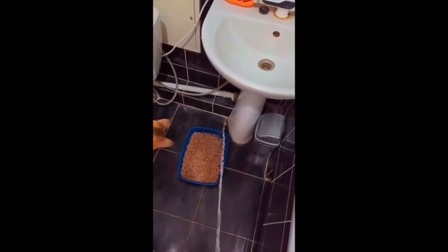 Самые странные мемы, которые ты когда-либо видел!