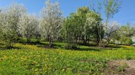 Весенняя прогулка по деревне, уют, счастье и жизнь в деревне, деревенская атмосфера