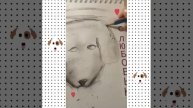 Берегите животных и не пускайте их одних ! Поставь лайк за историю...😔😪😑💜💜