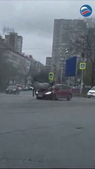 Шоу на дороге: лошадь стала причиной ДТП в Хабаровске