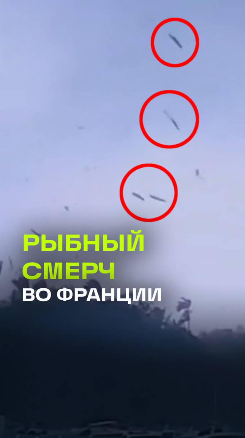 Десятки рыб взлетели над водой из-за водяного смерча у Гваделупы