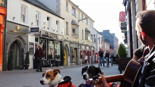 Paul Taylor - Ordinary Man (Christy Moore cover).mp4