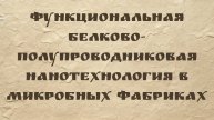 Амиджай Сарагови | Функциональная белково-полупроводниковая нанотехнология в микробных фабриках