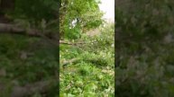 1000042948.mp4