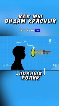 Как мы видим разные цвета?
ТГ: globalee_phys Запись на Курс по Физике!