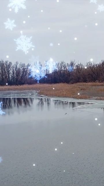 Лебеди