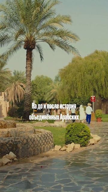 Секрет успеха — вовремя найти нефть #оаэ #dubai #travel #путешествия #туризм #дубай #абудаби