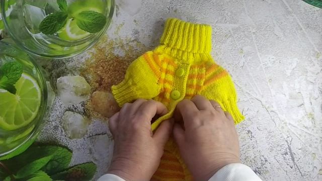 Свитер на собаку вязаный ручной работы