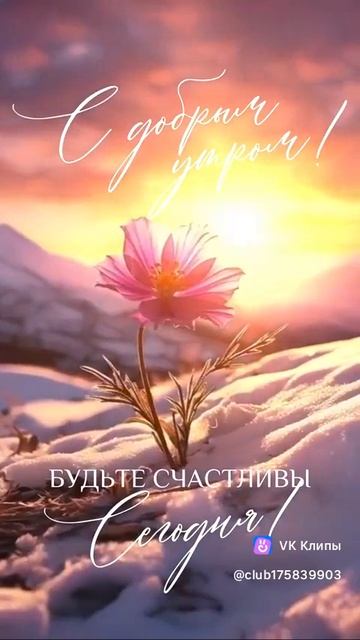 с добрым утром)