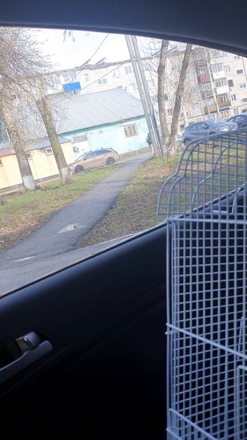 пончик