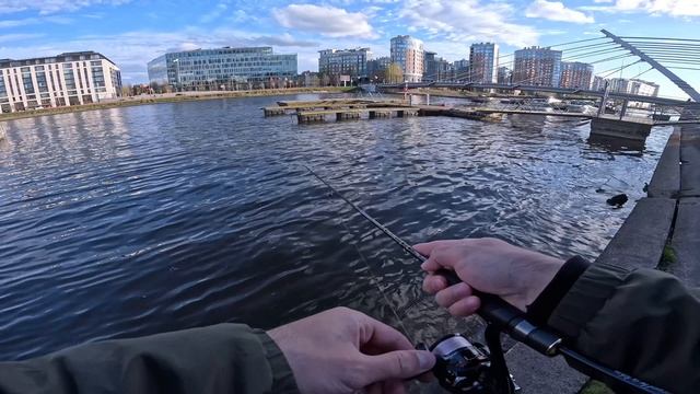 МИКРОДЖИГ. ОГРОМНЫЕ ОКУНИ НА МАЛОЙ НЕВКЕ