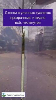 Доказательство, что Япония уже живет в 2020 году