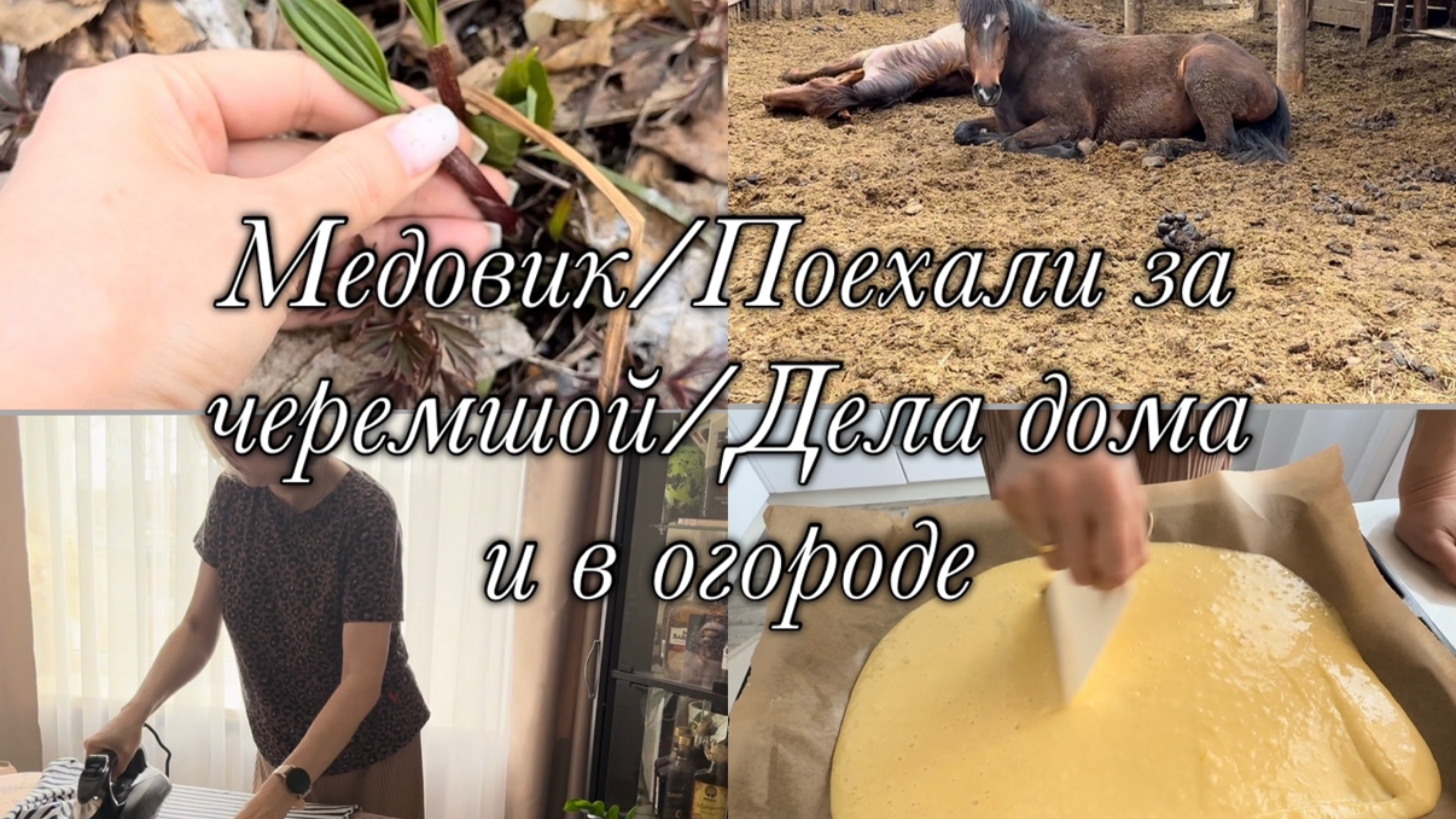 Медовик 🍰Поехали за черемшой🌱Дела дома и в огороде🪄