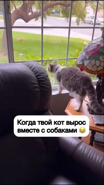 Что тама?
