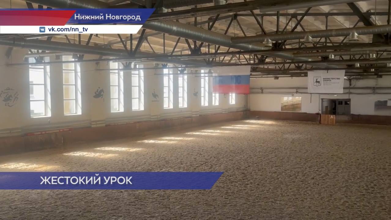 Жестоко избили лошадь в спортшколе Нижнего Новгорода