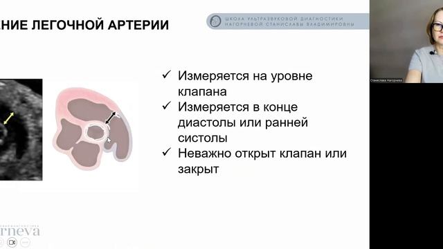 6.1 Лекция. Морфометрия