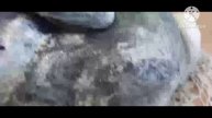 Поделка садовой фигурки из цемента