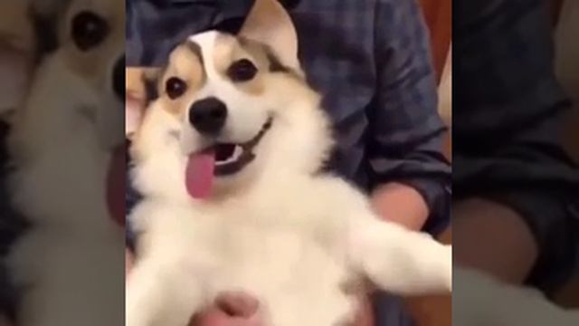 1000000602.mp4