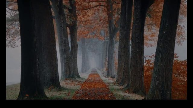 DJ Lava - And life isn't that long (track excerp)
