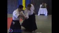 22 Aikido Hanmi Handachi Waza Gyaku Shihonage, Shishiya Sensei 2003