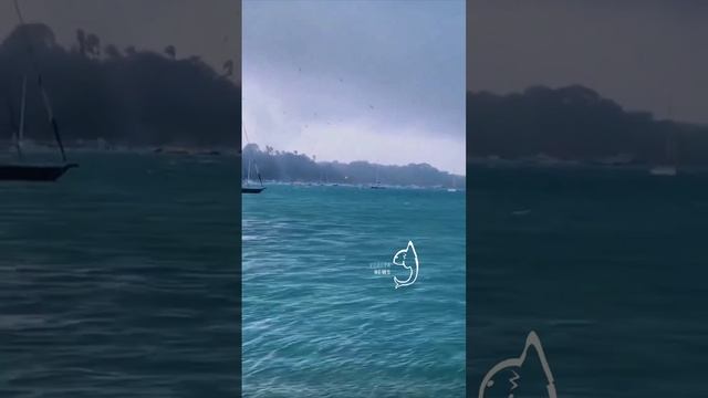 Мини-торнадо на Карибах поднял в воздух рыбу