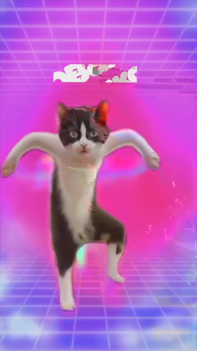 Гонщик дня