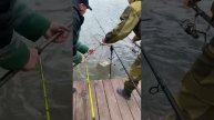 1000054005.mp4