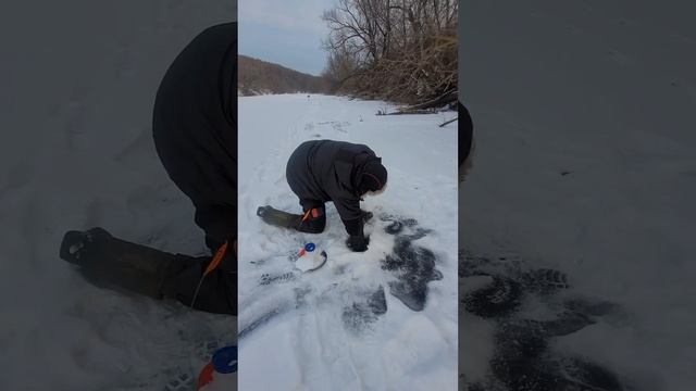 щука на 7.3 кг пойманная на речке в глухозимее в праздник 23 февраля