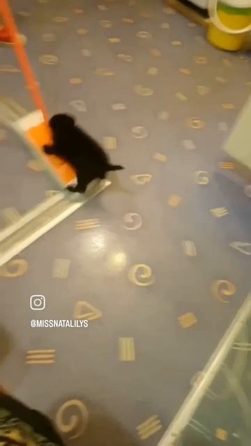Помогатор)))