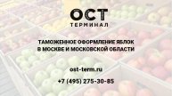 Растаможка яблок